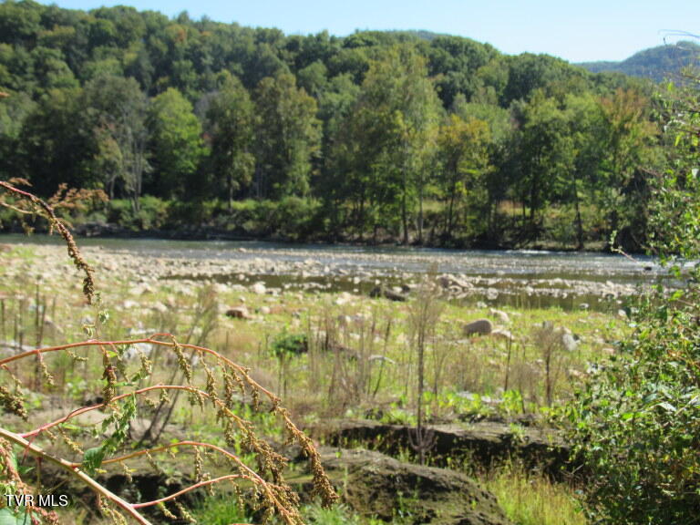 Photo #5: 168 Bumpus Cove Road