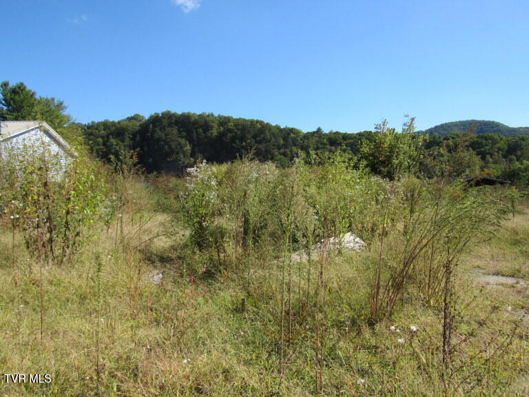 Photo #6: 168 Bumpus Cove Road