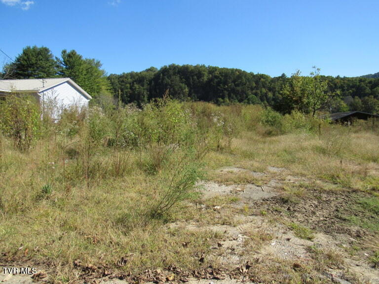 Photo #7: 168 Bumpus Cove Road