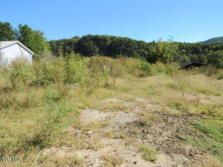 Photo #9: 168 Bumpus Cove Road