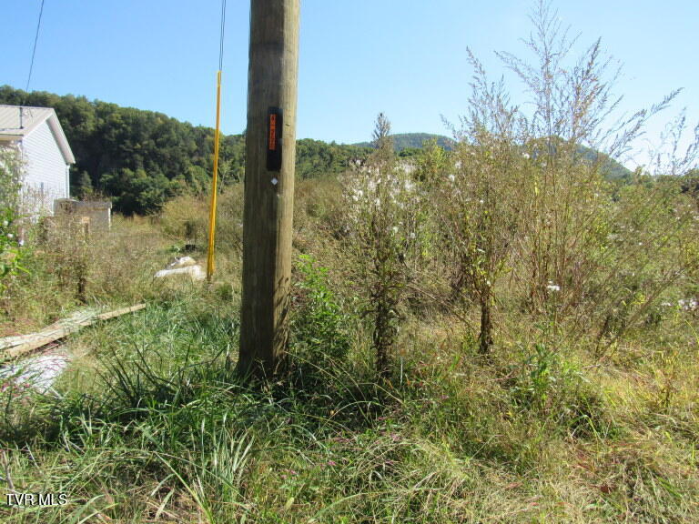 Photo #10: 168 Bumpus Cove Road