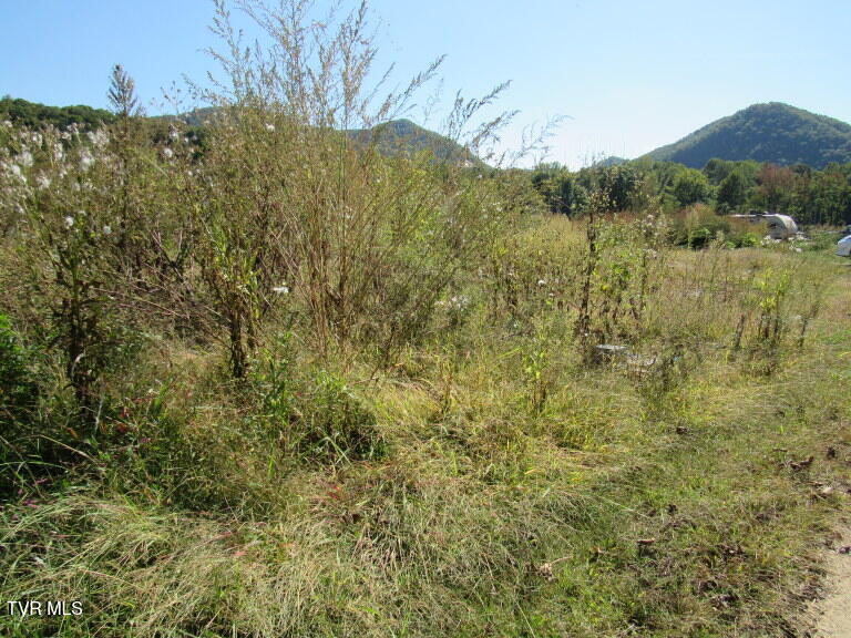 Photo #11: 168 Bumpus Cove Road