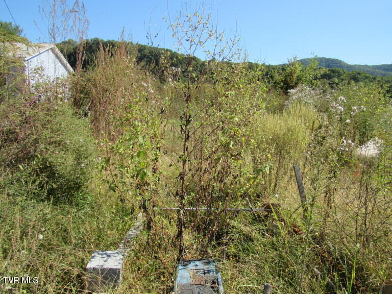 Photo #12: 168 Bumpus Cove Road