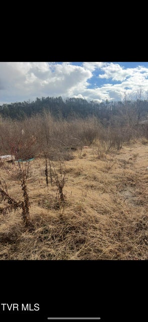 Photo #16: 168 Bumpus Cove Road