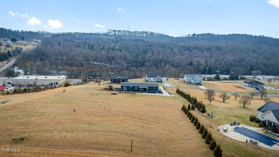 Photo #47: 185 Milk Thistle Way