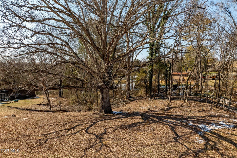Photo #20: Tbd Knob Creek Road
