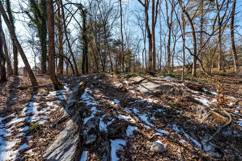 Photo #36: Tbd Knob Creek Road