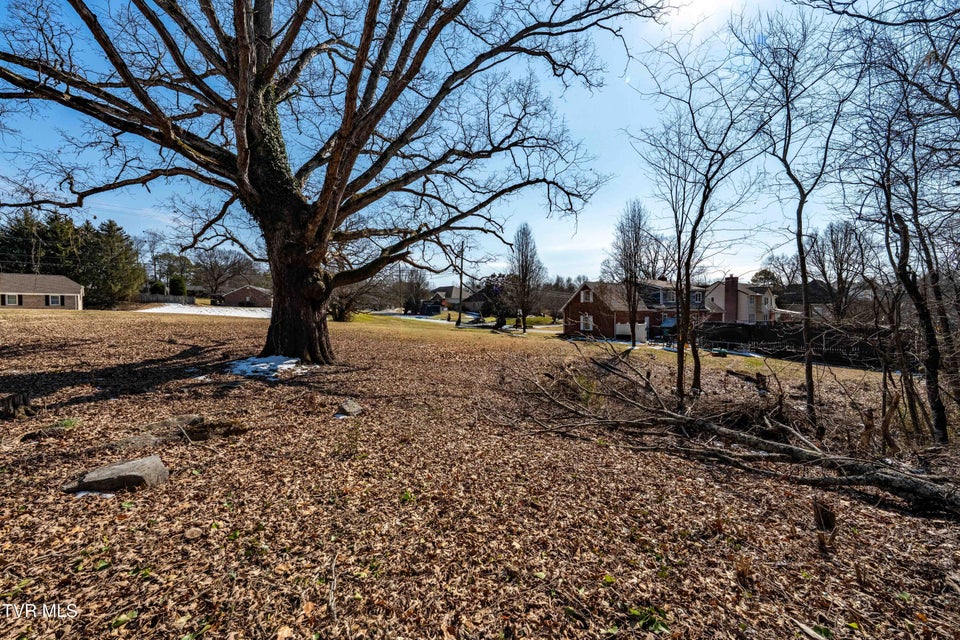 Photo #38: Tbd Knob Creek Road