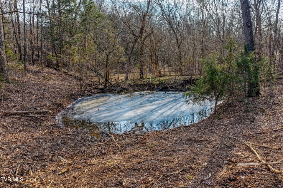 Photo #15: 3870 Dulaney Road