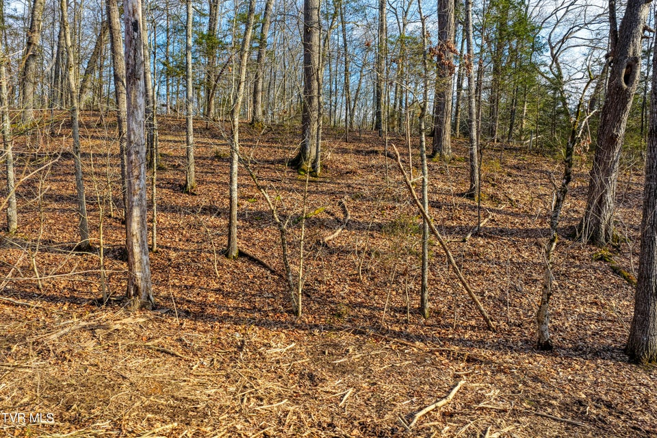 Photo #16: 3870 Dulaney Road