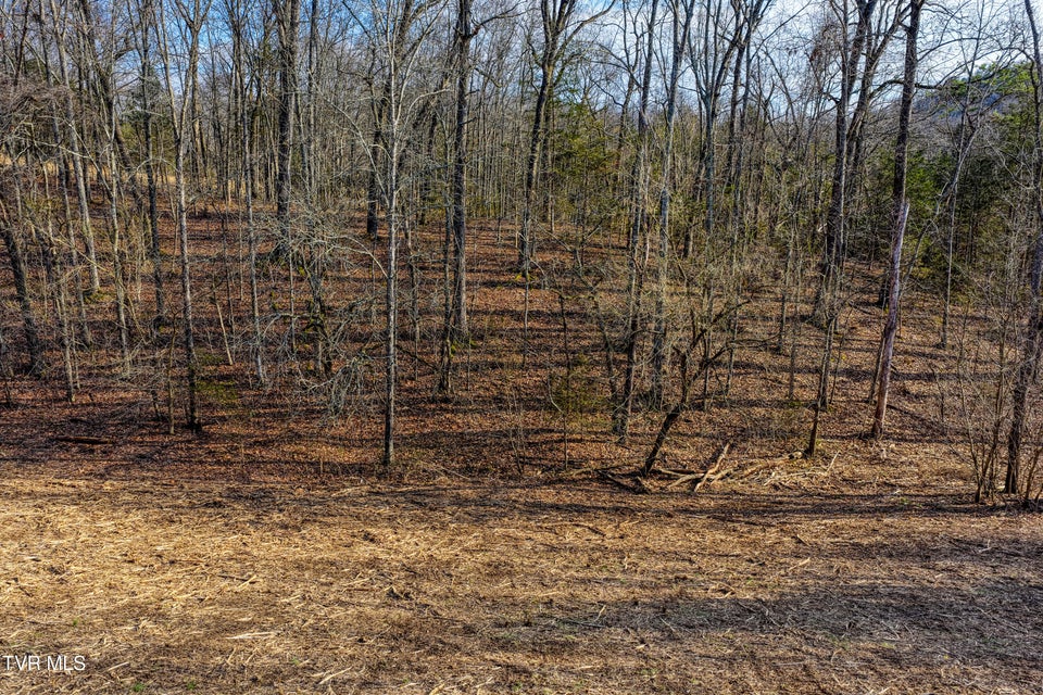 Photo #18: 3870 Dulaney Road