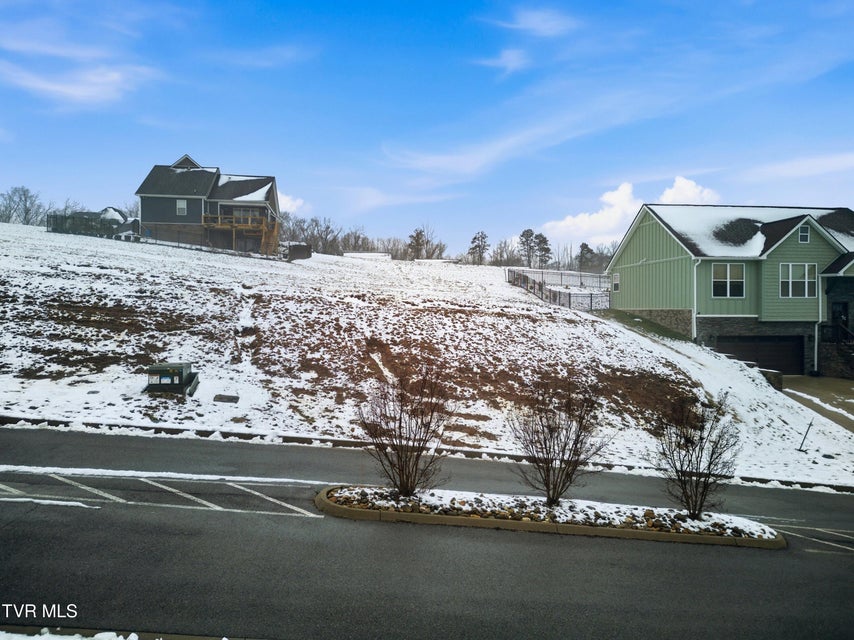 Photo #3: 0 Bridgewater Boulevard