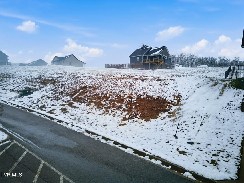 Photo #4: 0 Bridgewater Boulevard