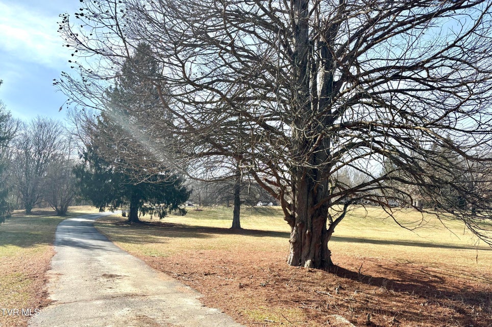 Photo #4: 12996 River Lane