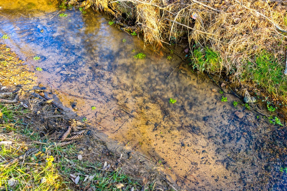 Photo #32: Tbd Garland Drive