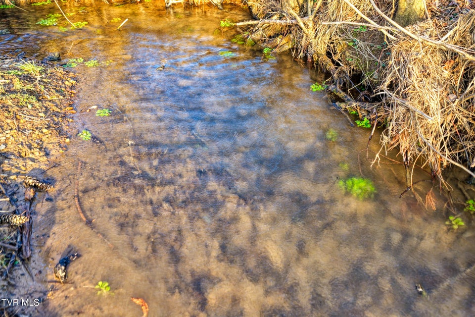 Photo #33: Tbd Garland Drive