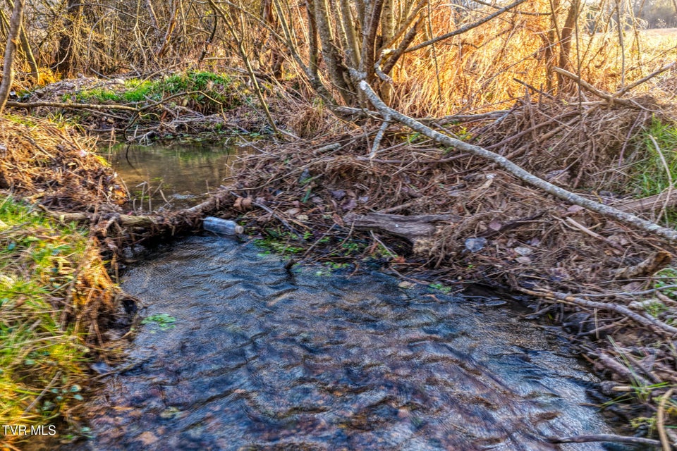 Photo #34: Tbd Garland Drive