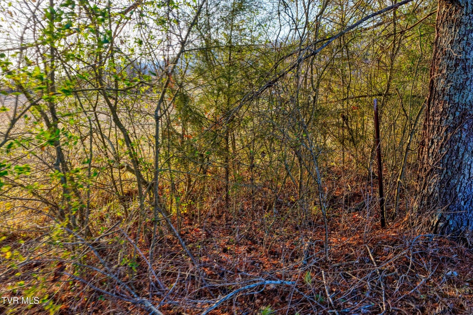 Photo #39: Tbd Garland Drive