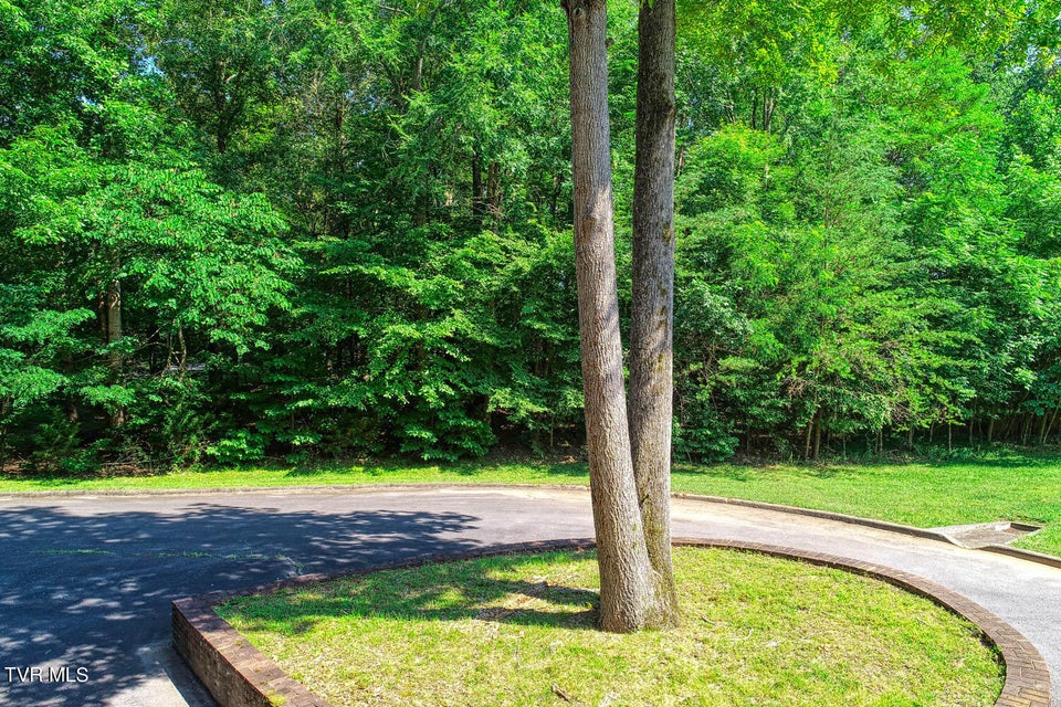 Photo #12: Lot 69 Brooks Pointe Drive