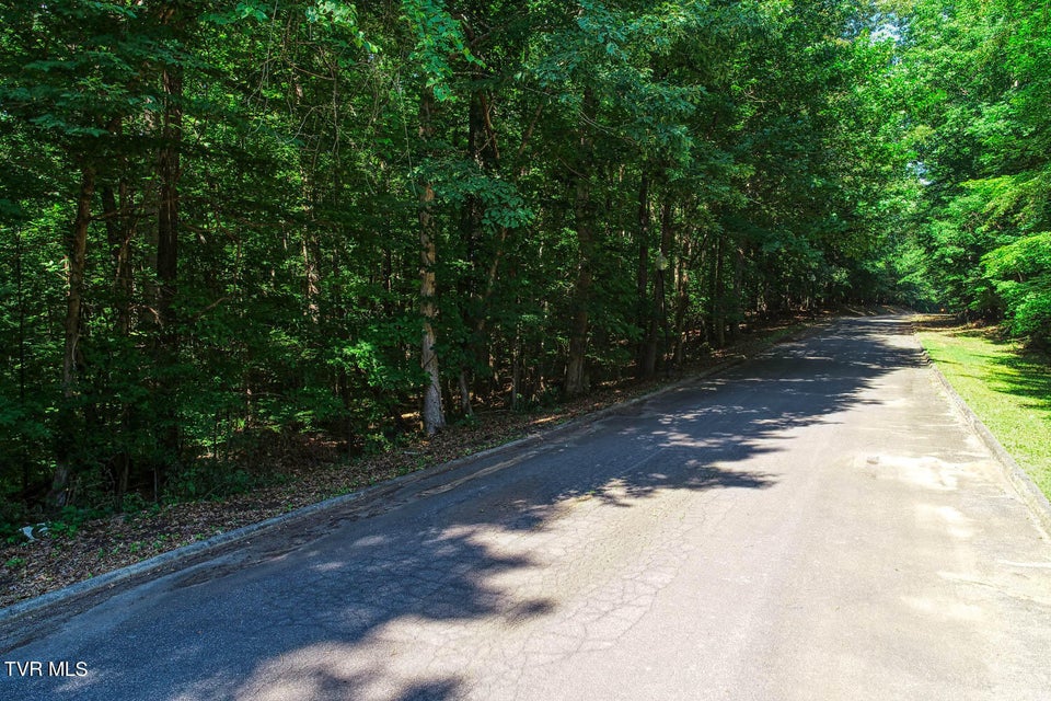 Photo #33: Lot 69 Brooks Pointe Drive