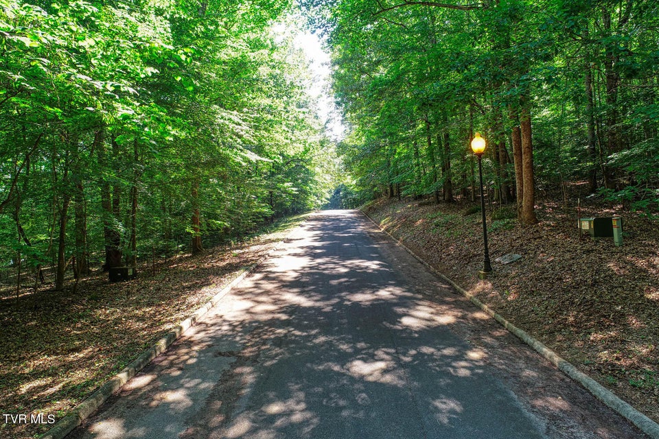 Photo #37: Lot 68 Brooks Pointe Drive