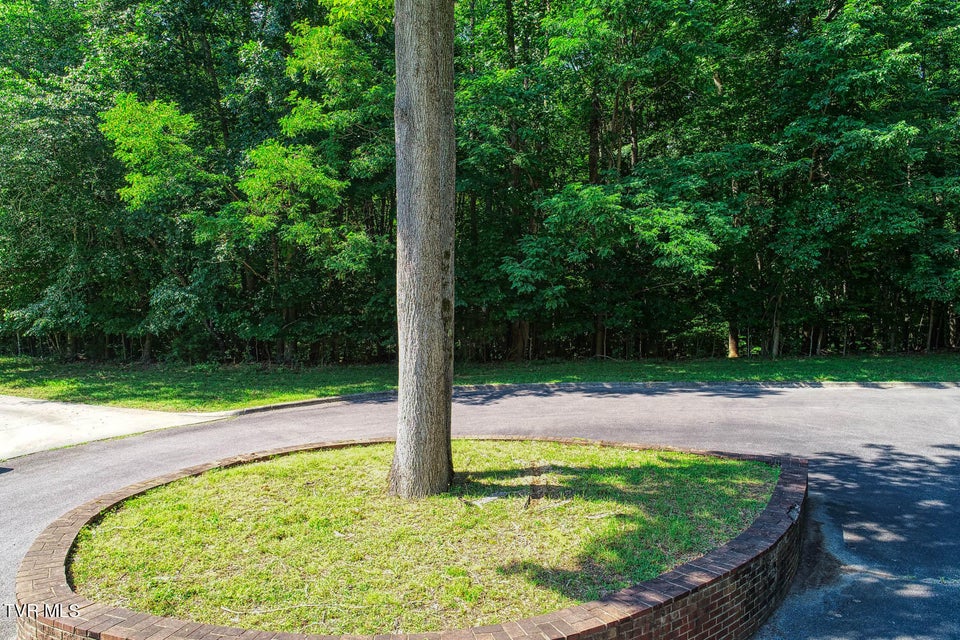 Photo #31: Lot 64 Brooks Pointe Drive