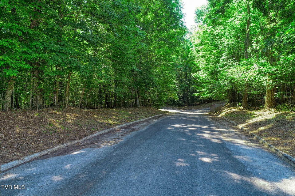 Photo #39: Lot 64 Brooks Pointe Drive