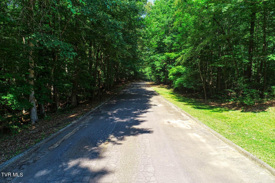 Photo #30: Lot 63 Brooks Pointe Drive