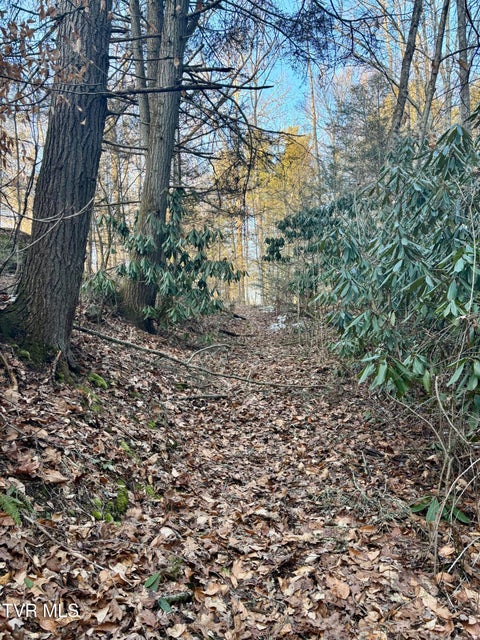 Photo #71: 12996 River Lane