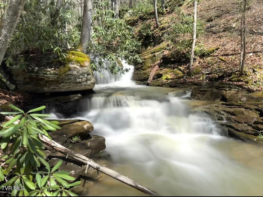 Photo #72: 12996 River Lane