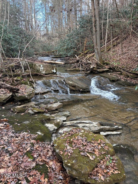 Photo #74: 12996 River Lane