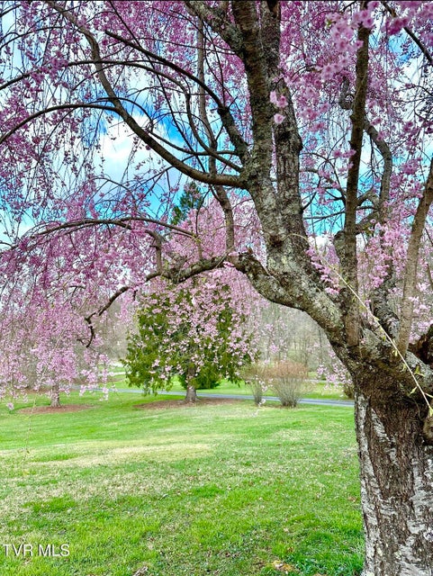 Photo #75: 12996 River Lane