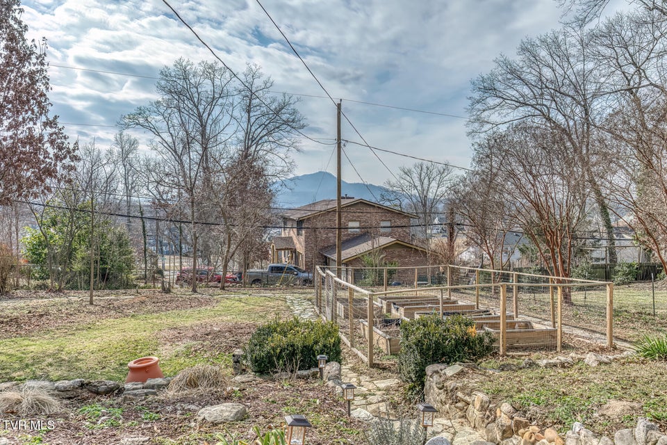 Photo #62: 1245 Watauga Street