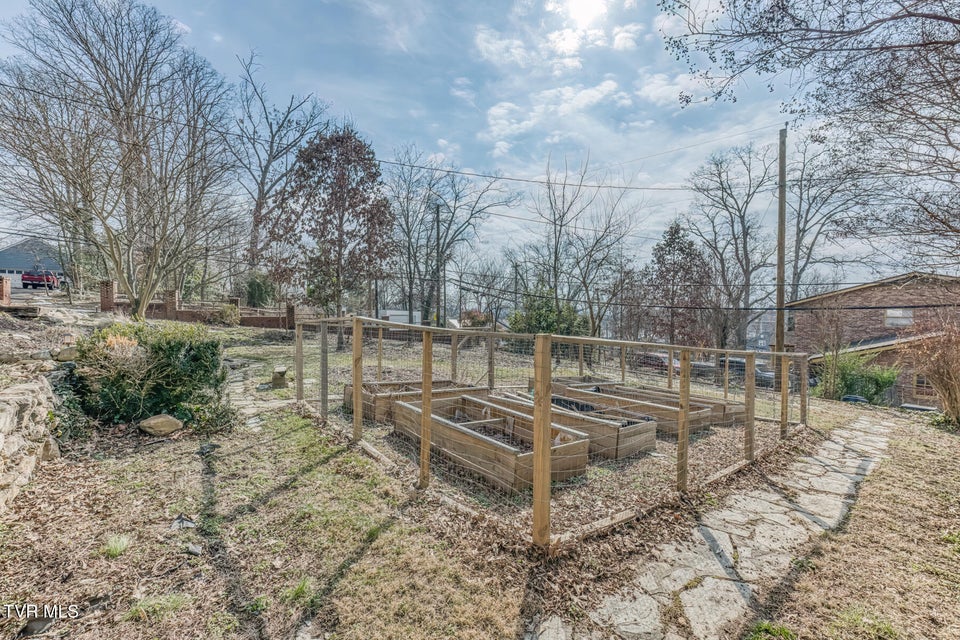 Photo #65: 1245 Watauga Street