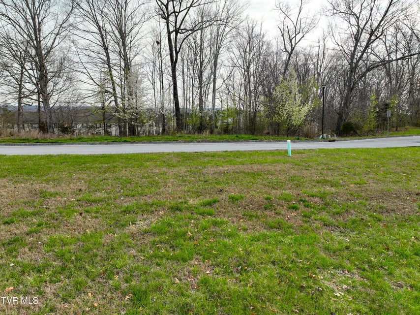 Photo #29: 1804 Buckingham Court