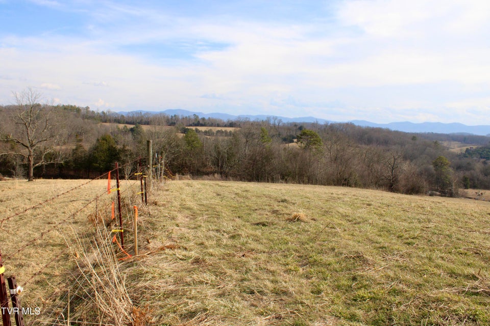 Photo #42: 5517 Poplar Springs Road