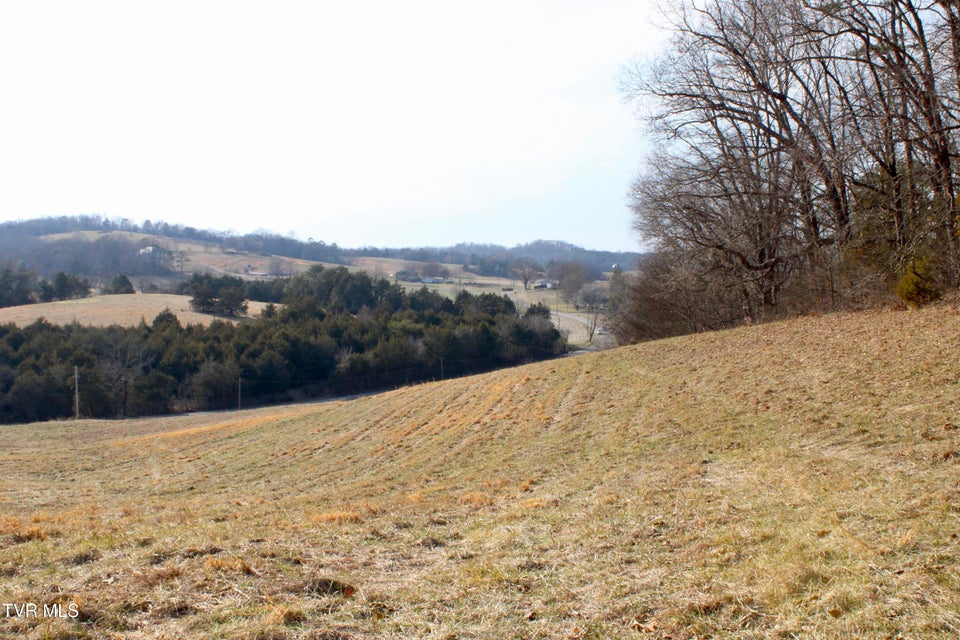 Photo #43: 5517 Poplar Springs Road