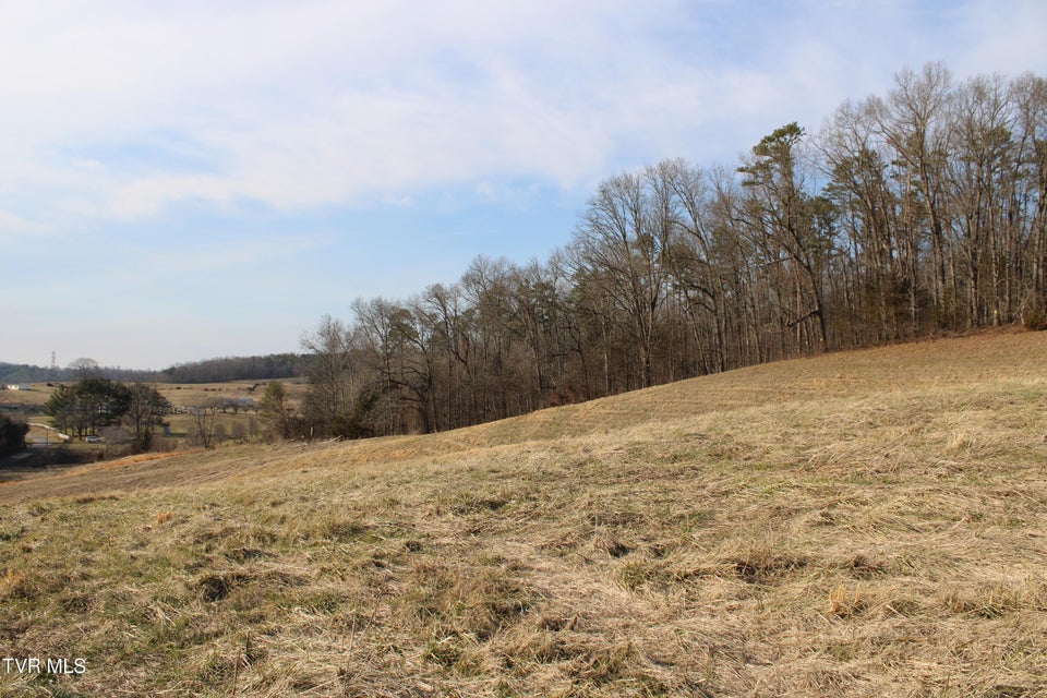 Photo #6: 5517 Poplar Springs Road