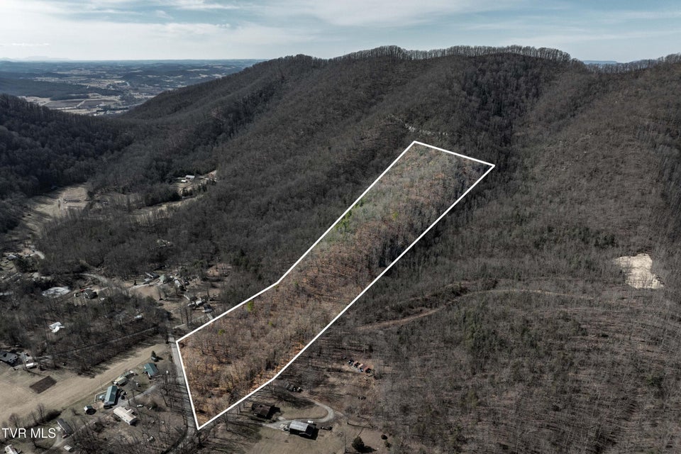 Photo #3: Tbd Buchanan Road