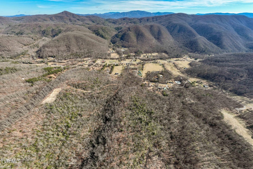 Photo #8: Tbd Buchanan Road