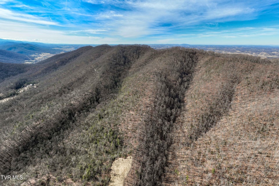 Photo #11: Tbd Buchanan Road