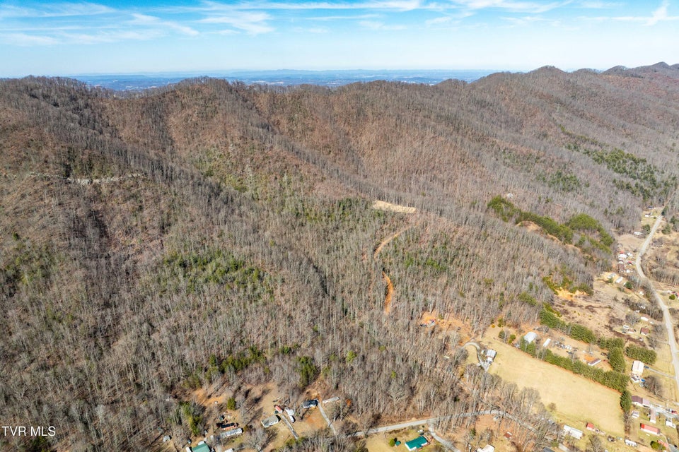 Photo #13: Tbd Buchanan Road