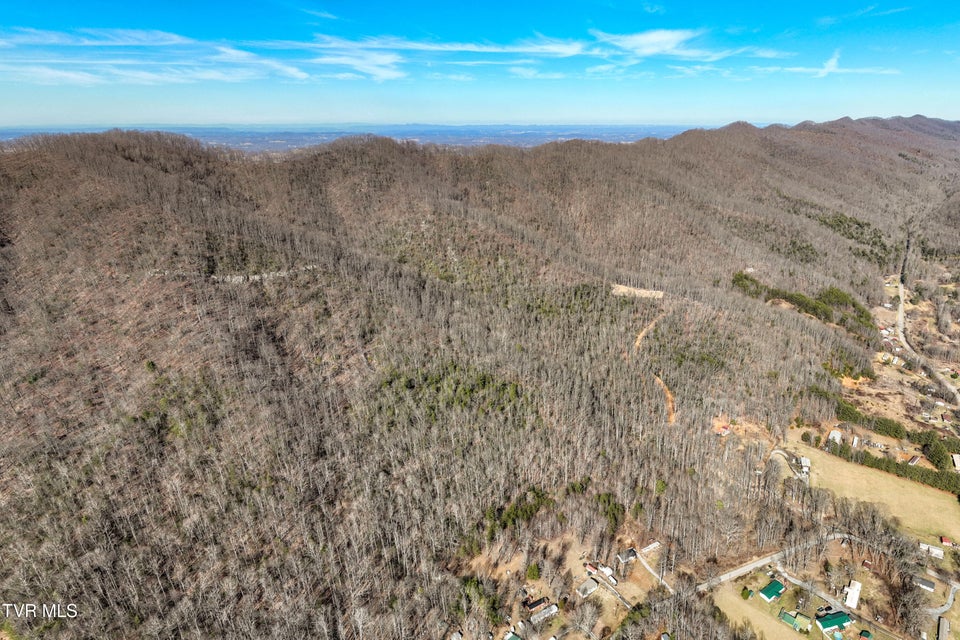 Photo #14: Tbd Buchanan Road