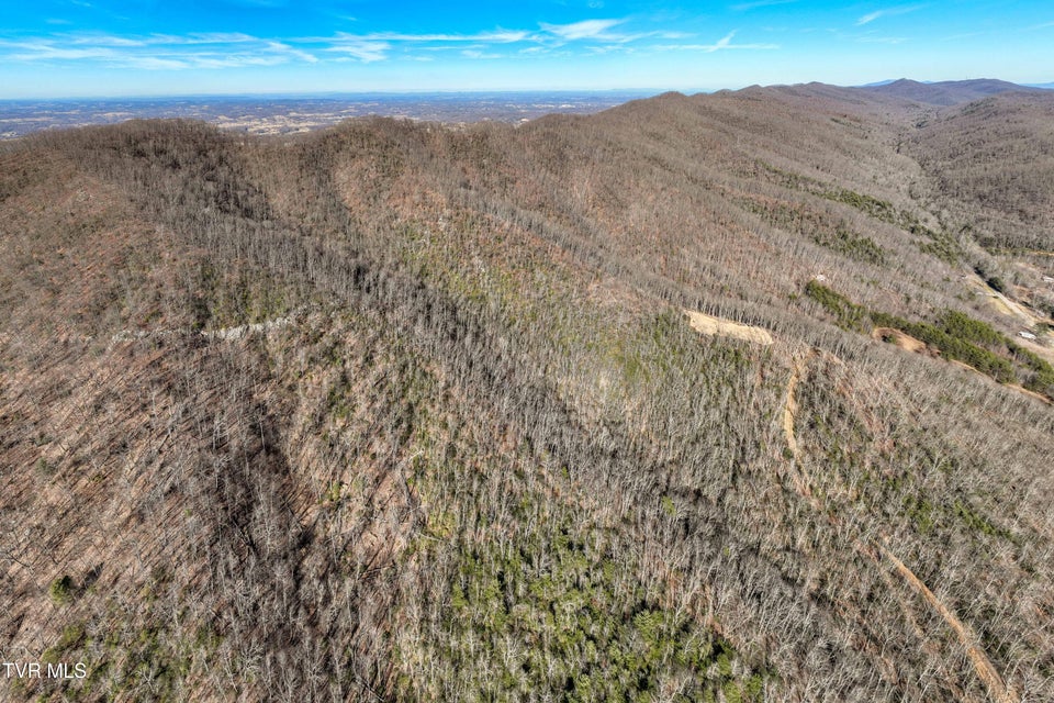 Photo #15: Tbd Buchanan Road