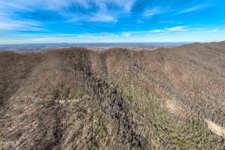 Photo #16: Tbd Buchanan Road