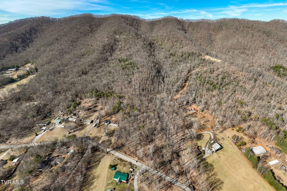 Photo #17: Tbd Buchanan Road