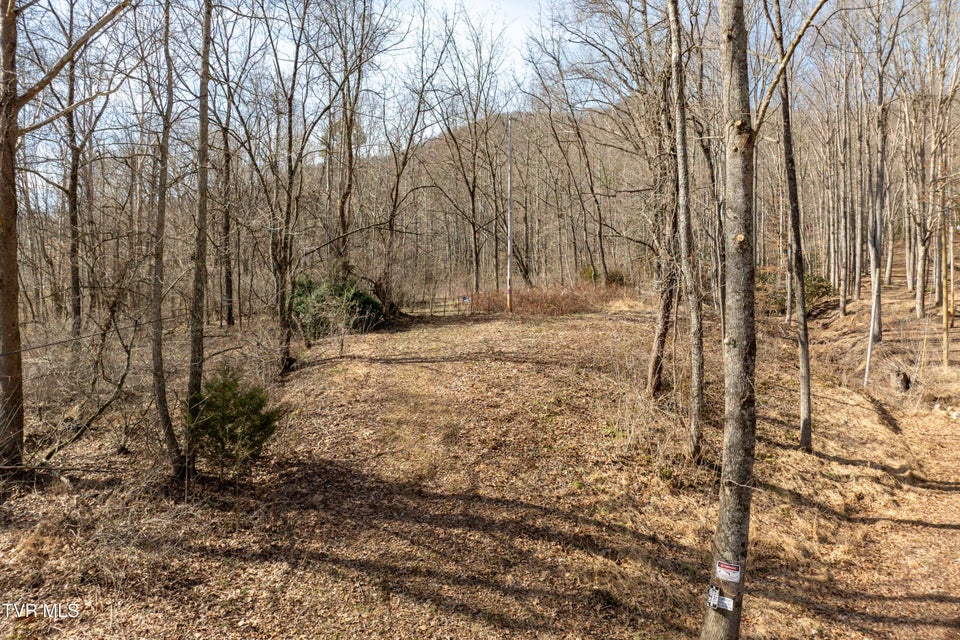 Photo #19: Tbd Buchanan Road