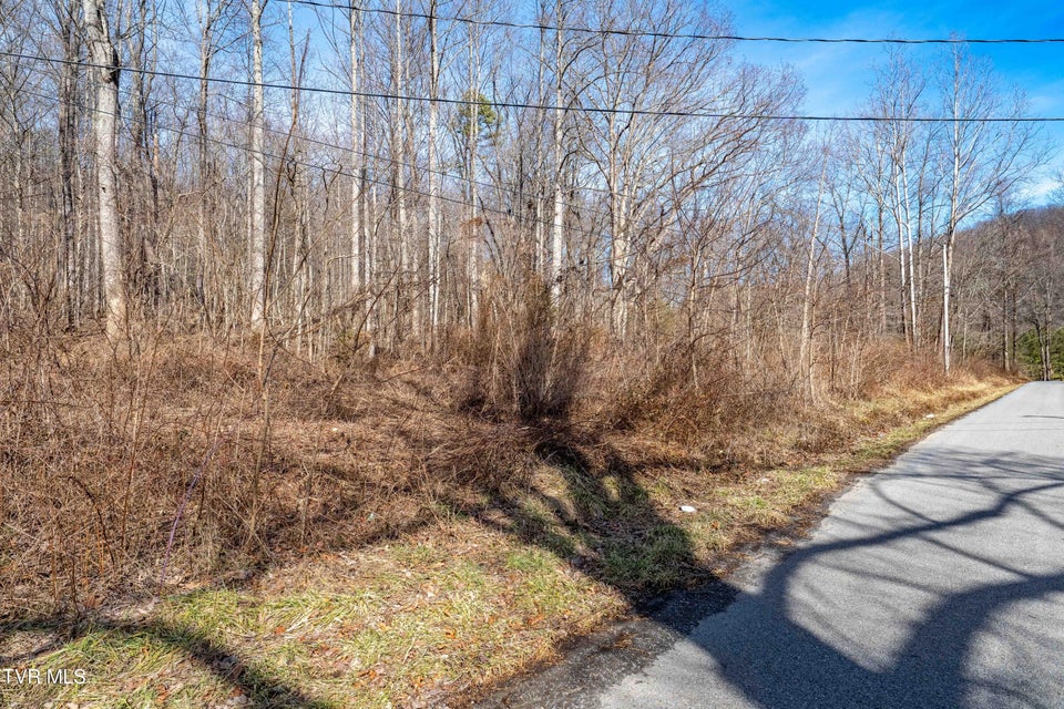 Photo #21: Tbd Buchanan Road