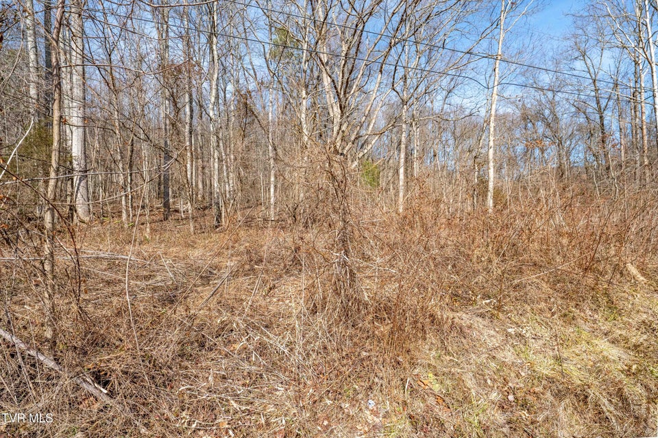 Photo #22: Tbd Buchanan Road