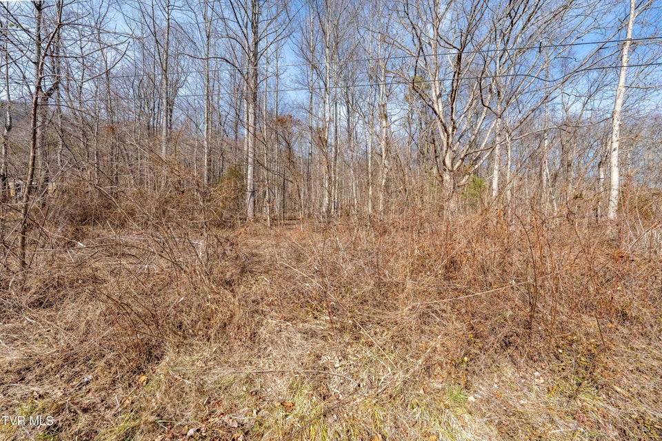 Photo #23: Tbd Buchanan Road